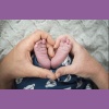 babatalp_kicasi_img_5205
